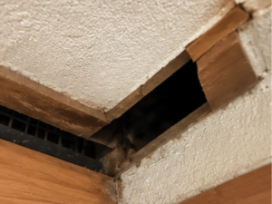 お部屋の隙間