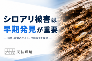 しろありコラムアイキャッチ画像