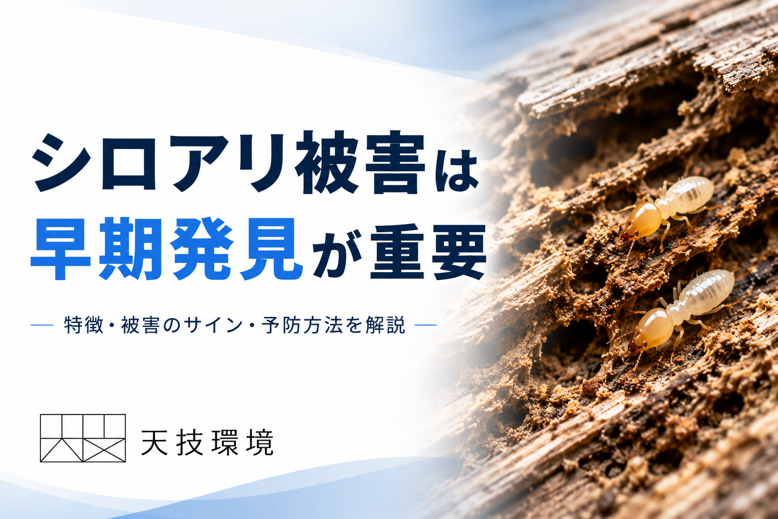 しろありコラムアイキャッチ画像