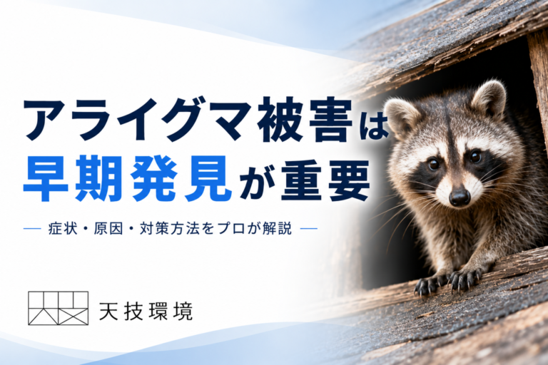 アライグマ駆除アイキャッチ画像