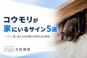 コウモリ駆除アイキャッチ画像